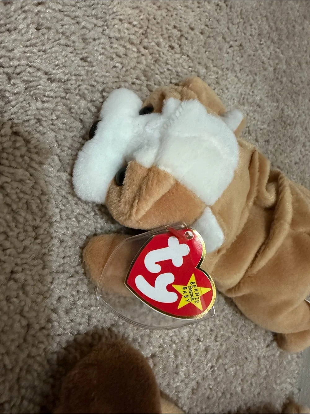 Ty Beanie Babies - Retired Collection (Wrinkles, Bones, Spunky, Bernie)